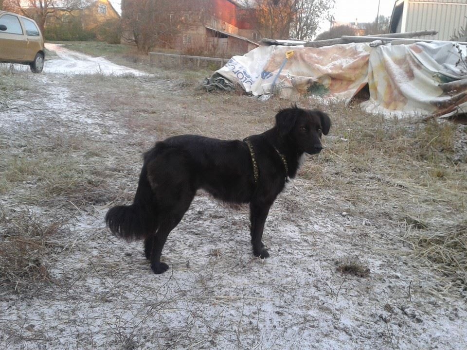 143 slatka 2