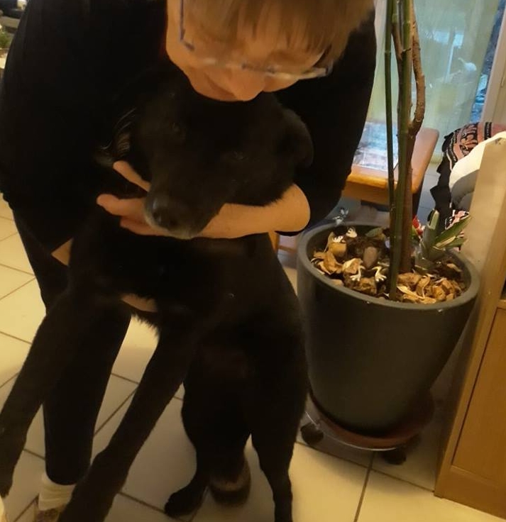 Chipie adopted3