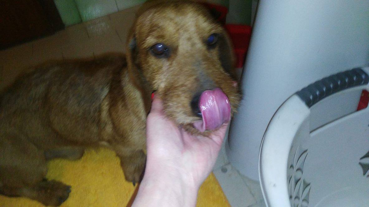 Rusty 2
