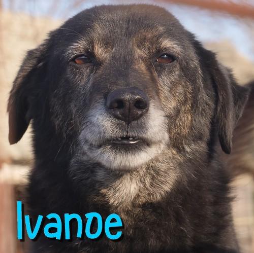 Ivanoe 3 1