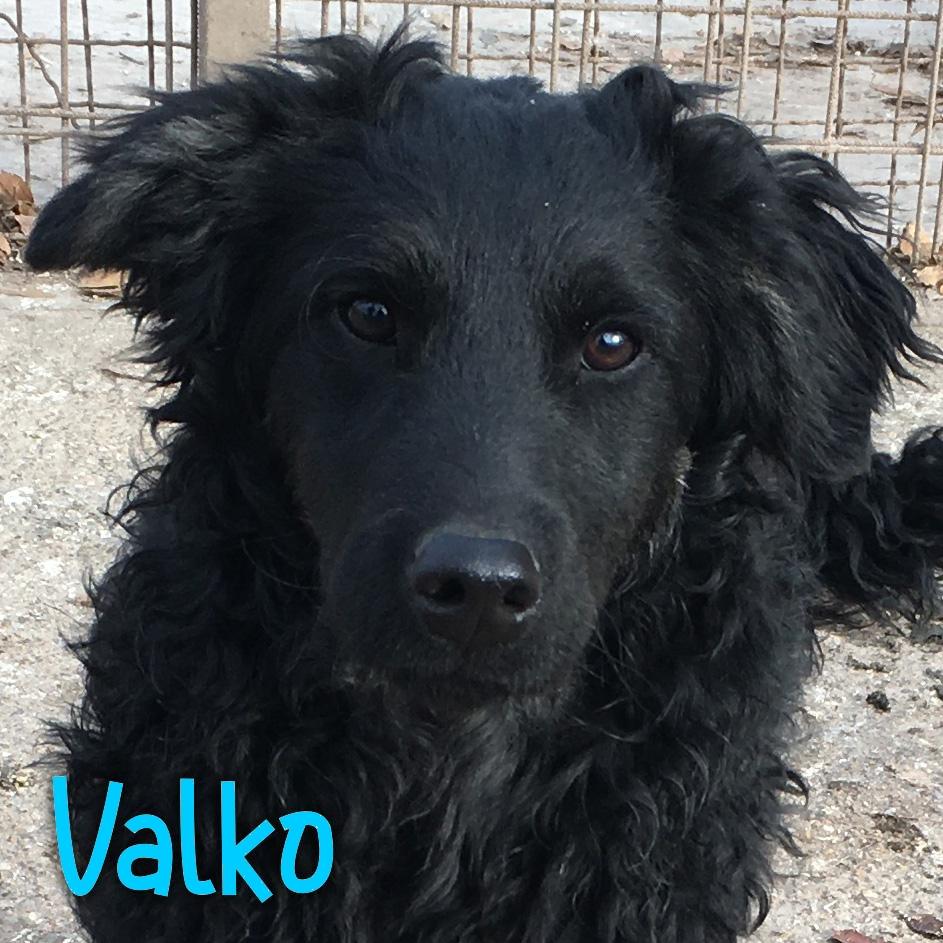 Valko 1